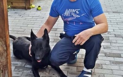 Ross gazdira talált