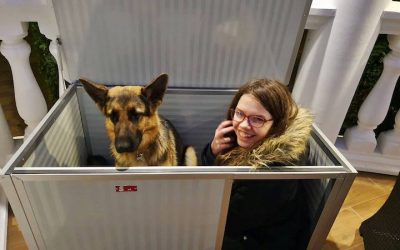 Zara gazdira talált